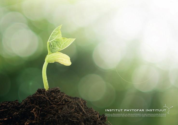 wat-is-het-phytofar-instituut